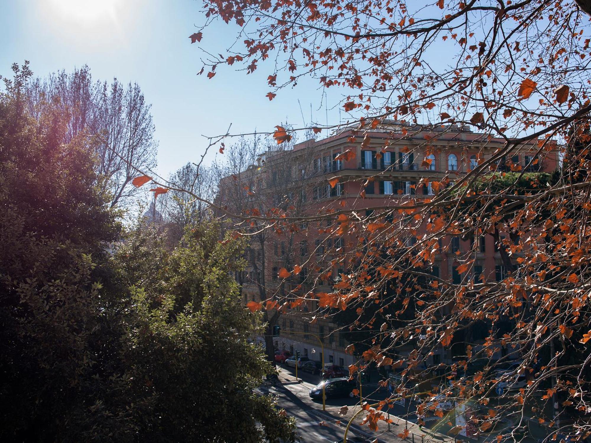 The Apartments - Vatican Roma Exterior foto